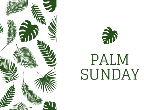 Palm Sunday: The King’s Arrival